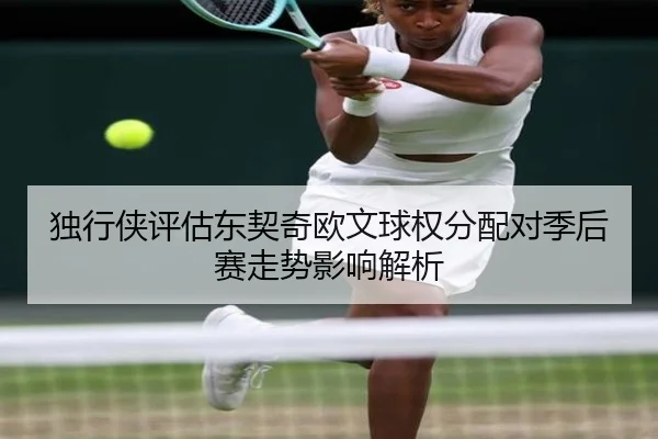 独行侠评估东契奇欧文球权分配对季后赛走势影响解析